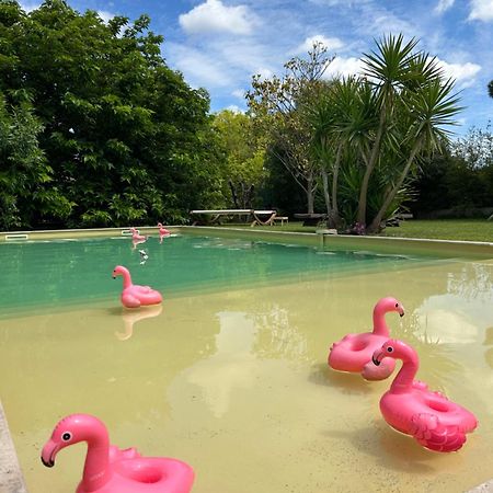 Le Patio, Chambres D Hotes Pour Adultes En Camargue, Possibilite De Naturisme A La Piscine, Aimargues Exteriör bild
