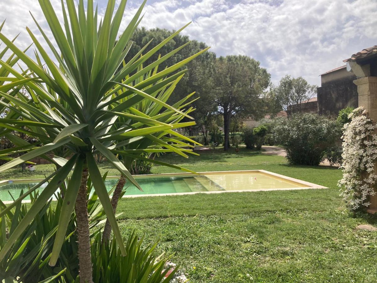 Le Patio, Chambres D Hotes Pour Adultes En Camargue, Possibilite De Naturisme A La Piscine, Aimargues Exteriör bild