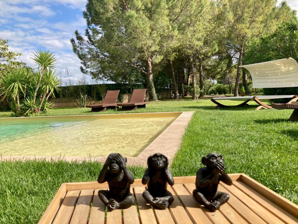 Le Patio, Chambres D Hotes Pour Adultes En Camargue, Possibilite De Naturisme A La Piscine, Aimargues Exteriör bild